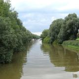 1107G 032 Alter Rhein